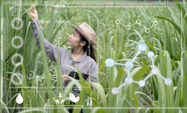 A split image comparing traditional farming methods on one side with modern, technology-driven agricultural practices on the other, highlighting the potential for innovation and growth in Colombia's agricultural sector.