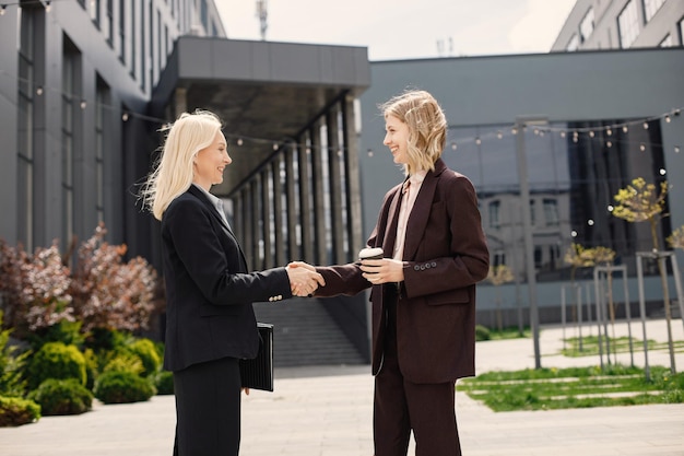 A businesswoman shaking hands with a government official in a modern office setting, symbolizing successful negotiation and collaboration in obtaining a business license.